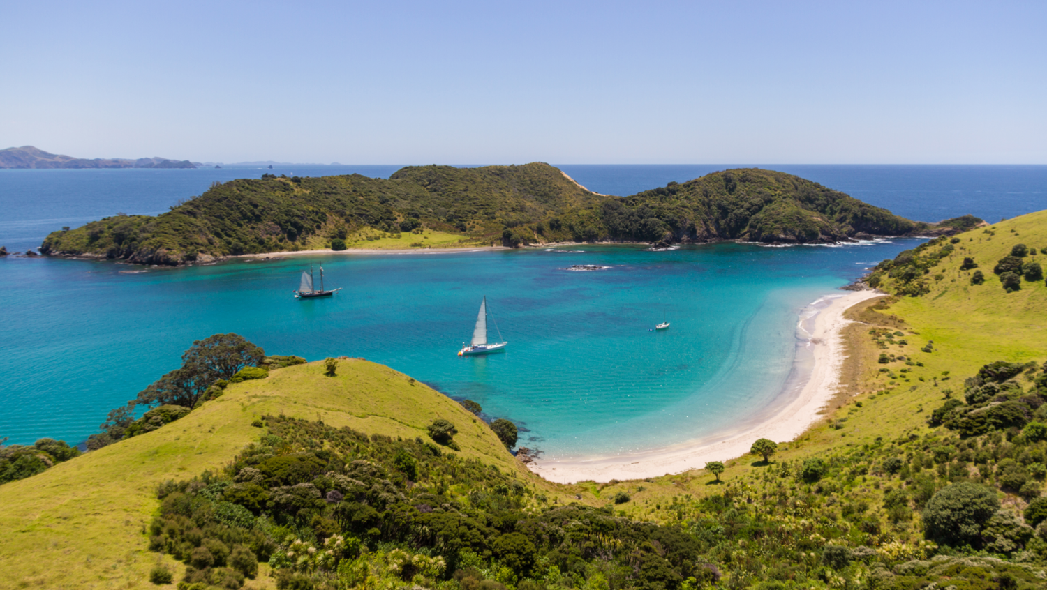 Image 1 for Discover the Bay of Islands