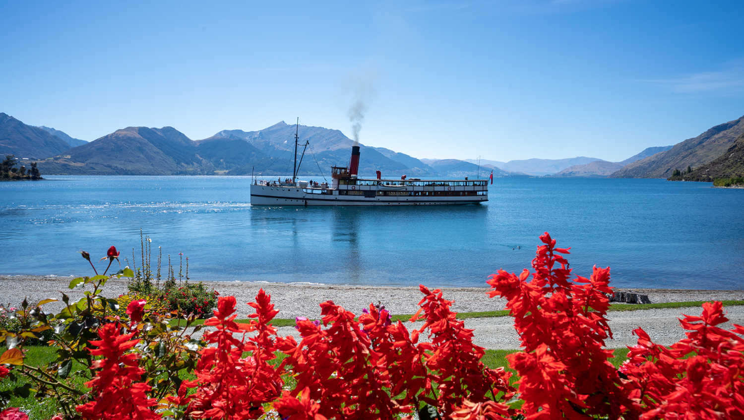 Image for 10 ReasoNZ why you should travel on our Best of the South Island tour