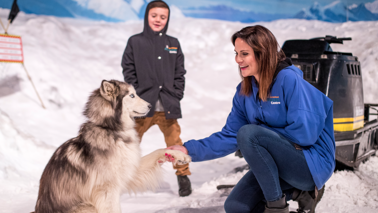 Image for International Antarctic Centre