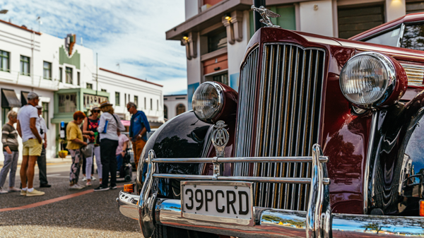 Image for Guided Walk of Art Deco Napier