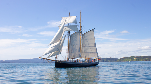 Image for Tall Ship Sailing - Sundowner Sail