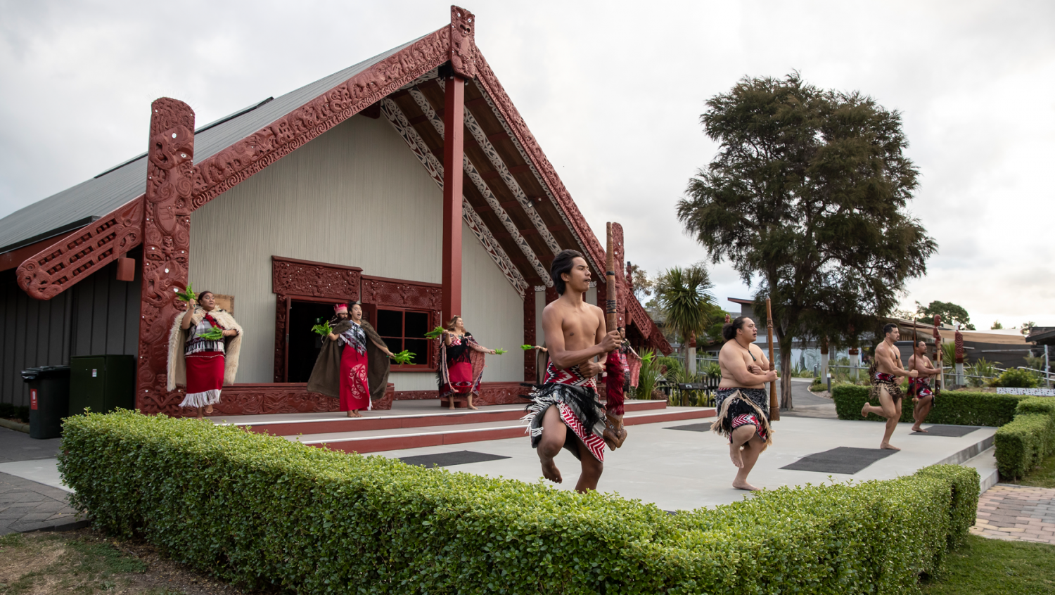 Image 1 for Te Puia, Rotorua’s Wonderland