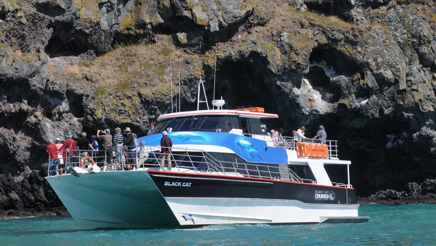 Image for Akaroa Harbour Nature Cruise