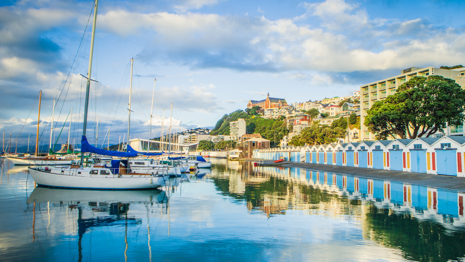 Image for Wellington - The Coolest Little Capital!